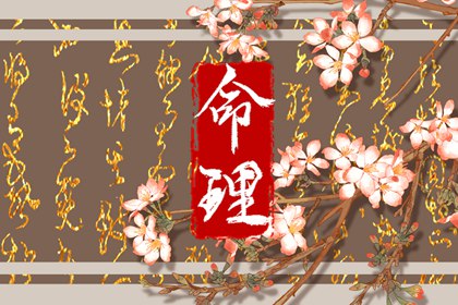 力单位换算_911免费查询网